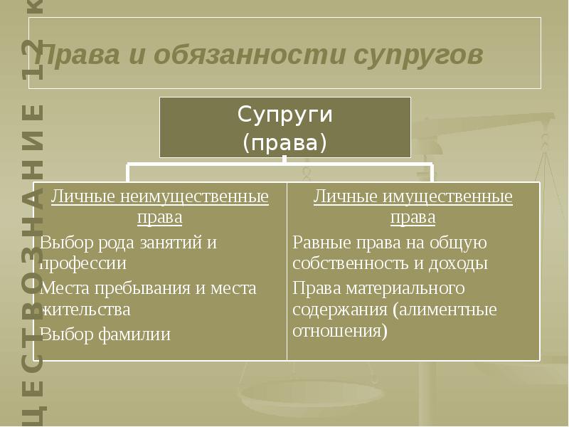 Семейные правоотношения проект