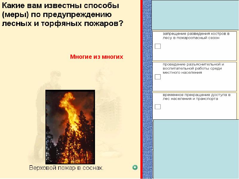 Обж 7 класс презентация профилактика лесных и торфяных пожаров защита населения