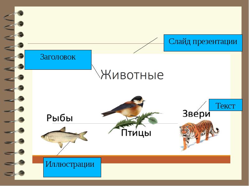 Понятие презентации и слайдов 4 класс