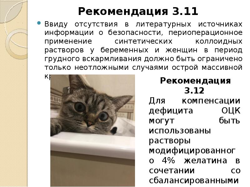 Ввиду отсутствия. Ввиду отсутствия информации. Ввиду отсутствия технической возможности. Ввиду недостатка. Ввиду недостатка материалов.