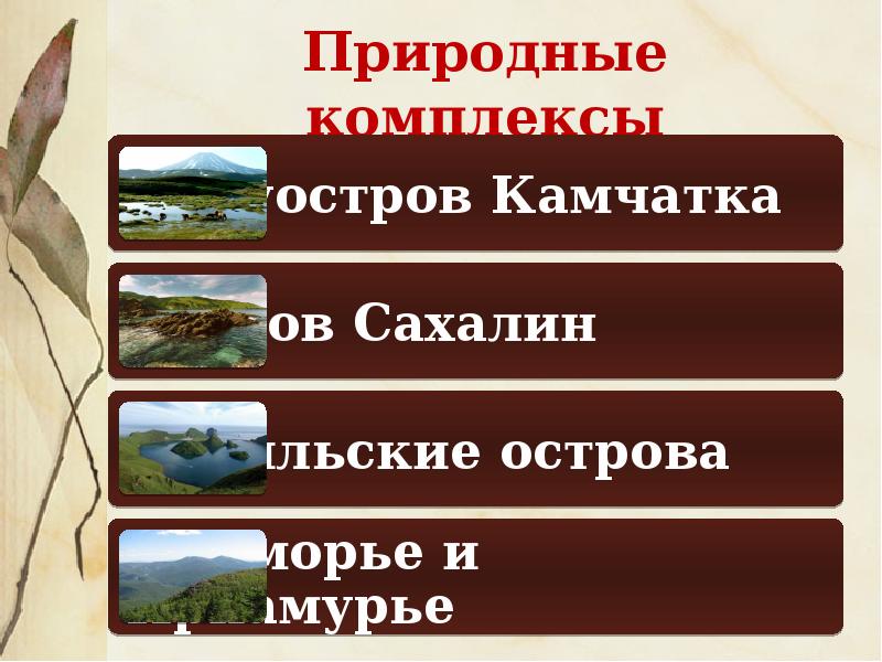 География 8 класс презентация природные комплексы