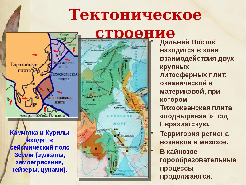Названия литосферных плит. Карта литосферных плит дальний восток. На какой литосферной плите находится остров сахалин. Границы литосферных плит на карте. На какой литосферной плите находится остров сахалин.