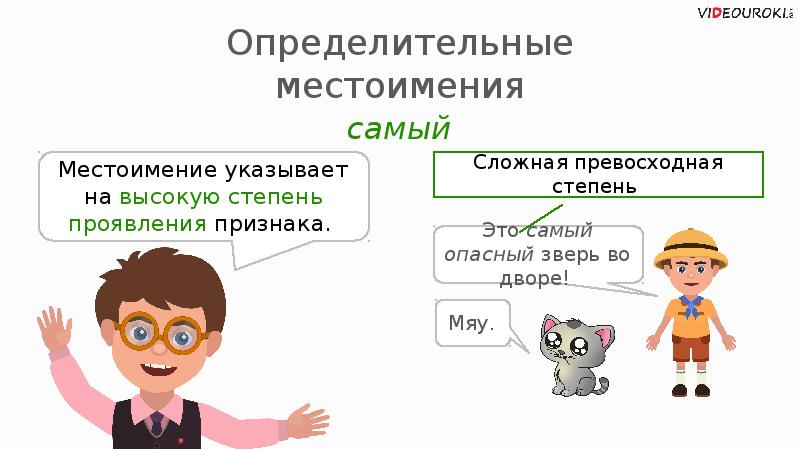 Урок 6 класс определительные местоимения презентация 6 класс