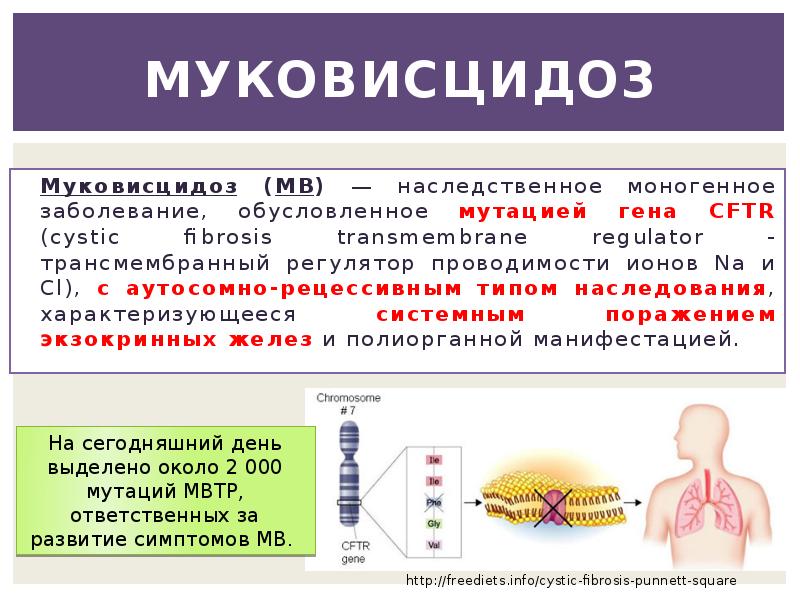 Муковисцидоз наследственная болезнь обусловленная аутосомным рецессивным геном клиническая картина