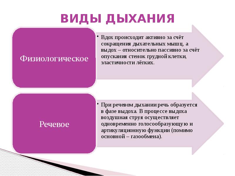 Презентация анатомо физиологические механизмы речи