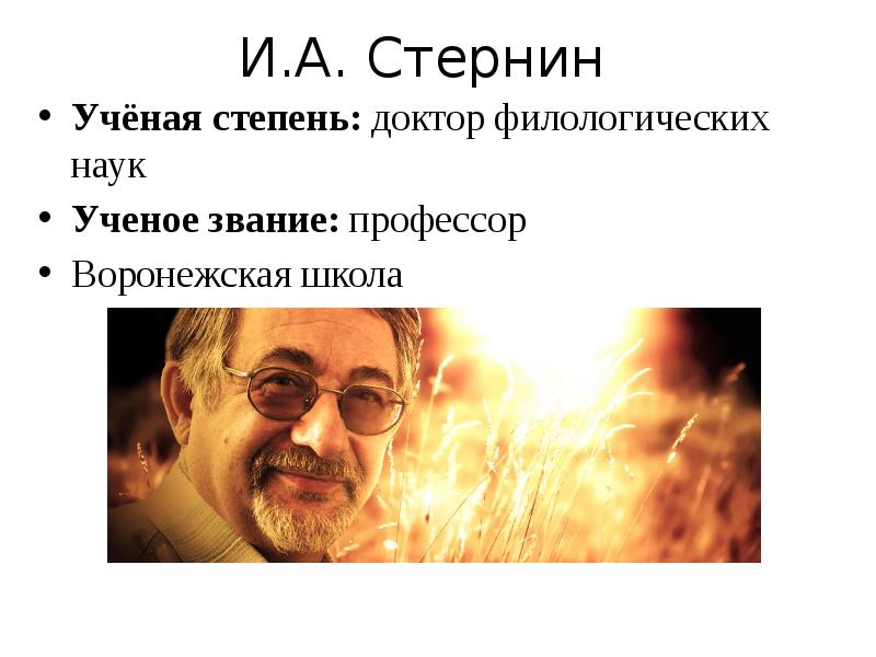 Языкознание стернин