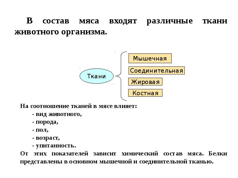 Товароведение мясо и мясные продукты презентация