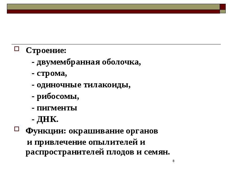 Функции стромы. Строма функции. Двумембранная оболочка.