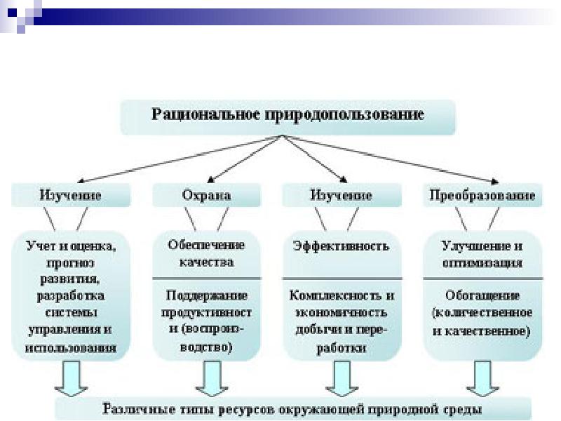 Презентация виды и формы природопользования