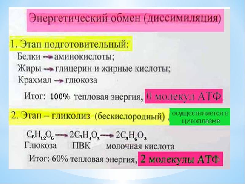 Энергетический обмен в клетке презентация