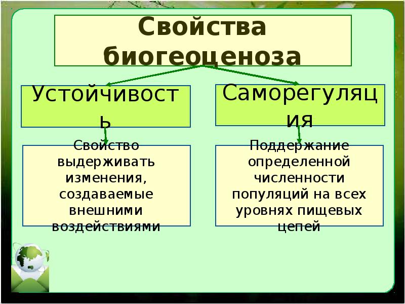 Презентация сообщества и экологические системы