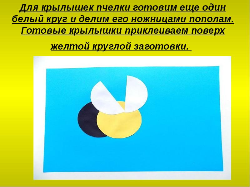 Для крылышек пчелки готовим еще один белый круг и делим его Для крылышек пчелки готовим еще один белый круг и делим его