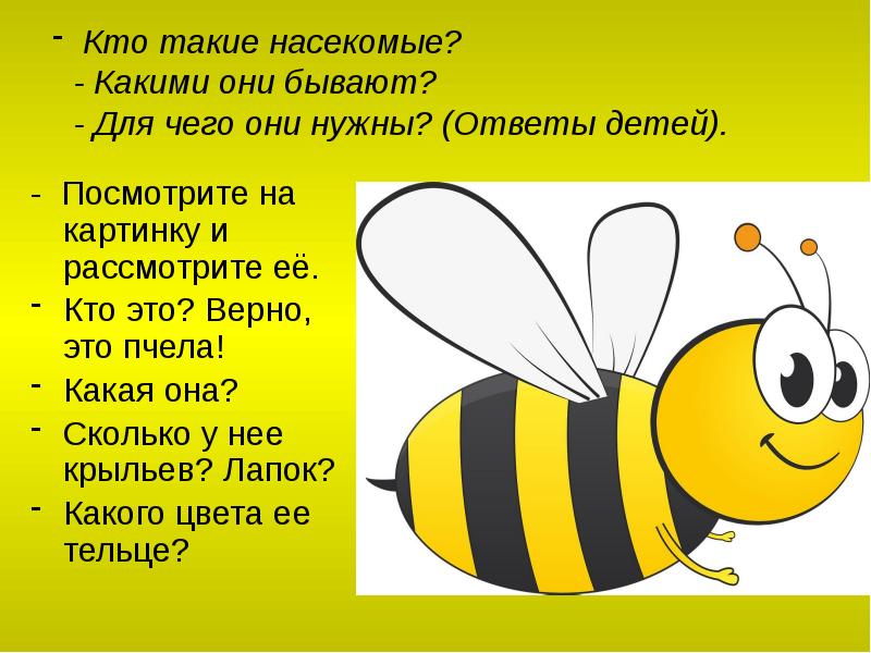 Кто такие насекомые? - Какими они бывают? - Для Кто такие насекомые? - Какими они бывают? - Для