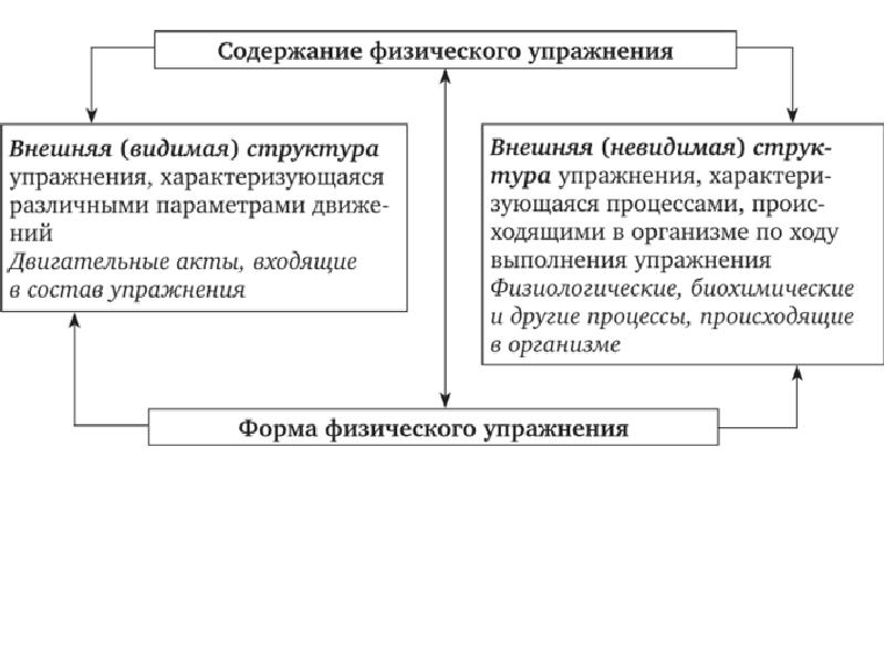 Содержание физической. Каково внутреннее и внешнее содержание физических упражнений. Внутренняя структура физического упражнения. Внутренняя и внешняя структура физического упражнения. Внутренняя структура форм физ упражнения.