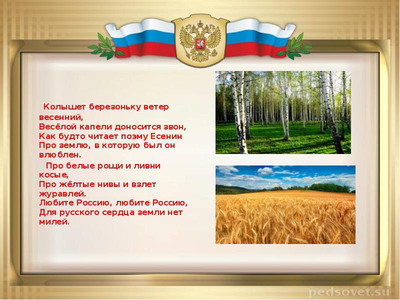 Ветер колышет. Колышет березоньку ветер весенний. Колышет березоньки ветер весенний текст. Колышет березоньку ветер весенний весёлой капели доносится звон. Белые Рощи и ливни косые.