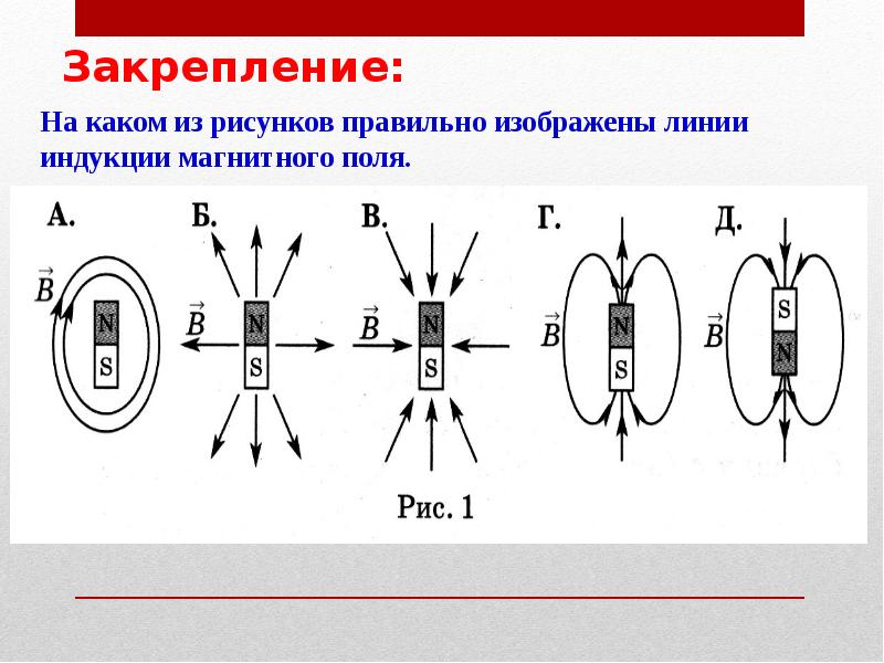 Закрепление:
На каком из рисунков правильно изображены линии индукции магнитного поля. Закрепление:
На каком из рисунков правильно изображены линии индукции магнитного поля.