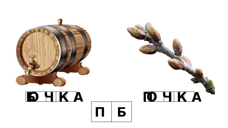 Картинка бочка почка