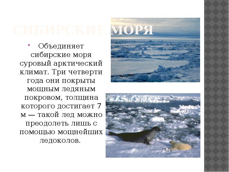 На полярных морях и на южных