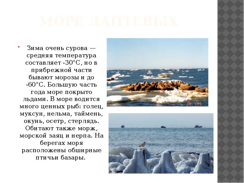 Проблемы белого моря кратко