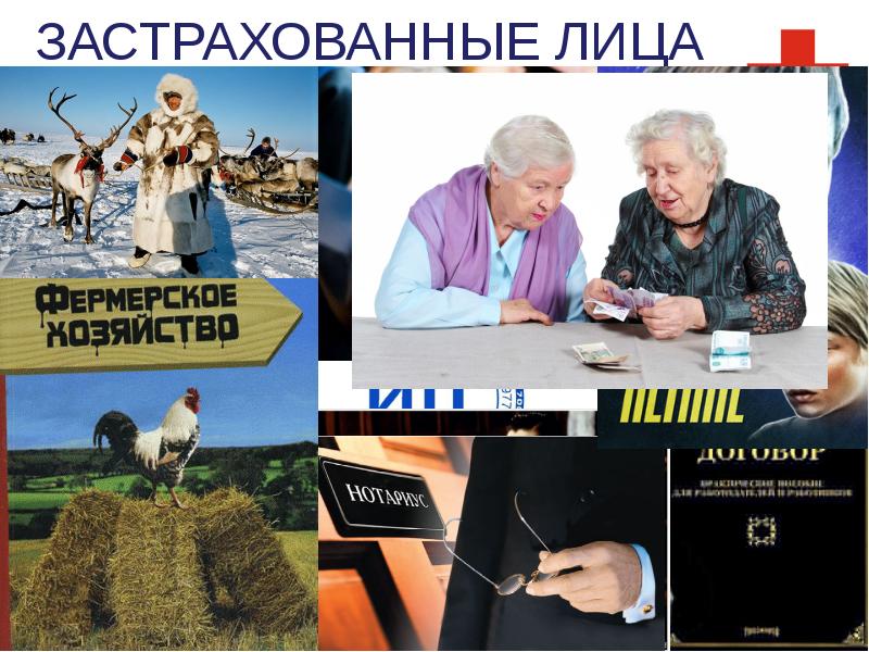 ЗАСТРАХОВАННЫЕ ЛИЦА ЗАСТРАХОВАННЫЕ ЛИЦА