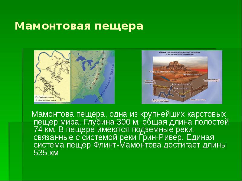 Мамонтовая пещера   Мамонтова пещера, одна из крупнейших карстовых пещер