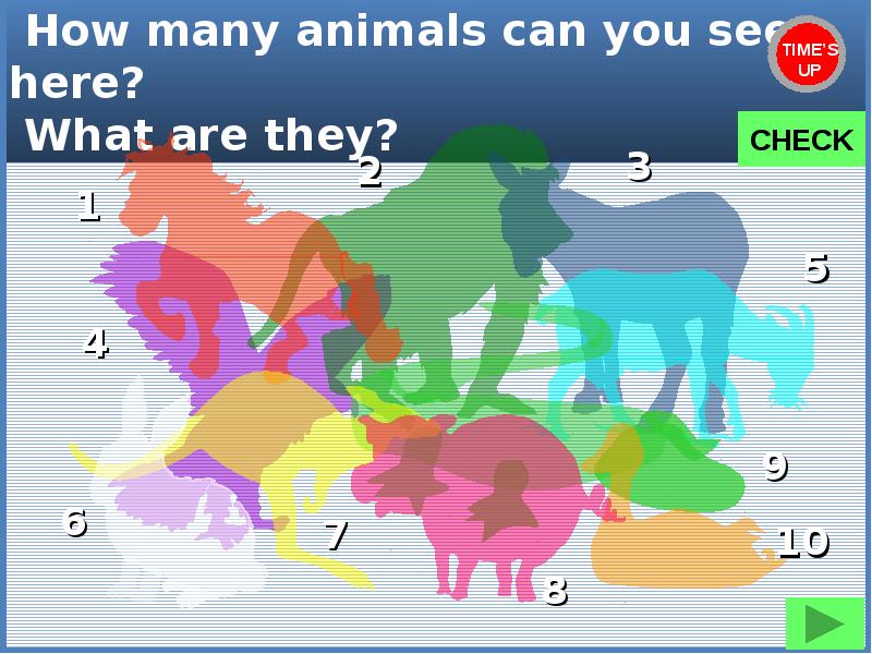What animals did you see. How many animals. how many animals can you see. what animals can you see. what animals can you see in the circus перевод на русский.