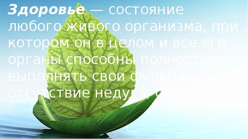 Здоровый образ жизни основа укрепления и сохранения личного здоровья индивидуальный проект