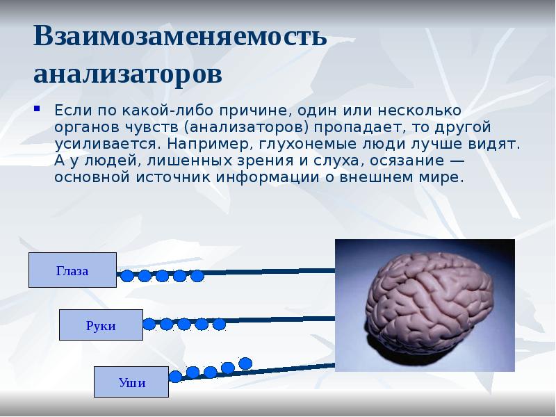 Органы чувств и анализаторы. Взаимозаменяемость анализаторов. Взаимозаменяемость органов чувств. Взаимодействие анализаторов. Анализатор и орган чувства. Взаимодействия анализаторов.