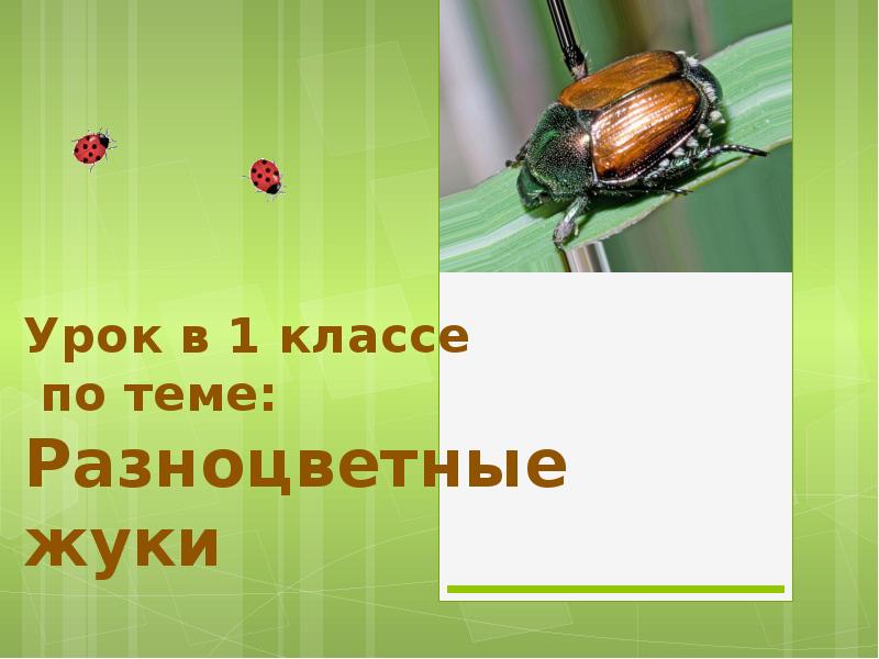 Разноцветные жуки презентация 1 класс школа россии презентация