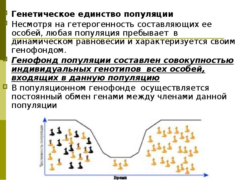 Структура популяций презентация 9 класс пасечник линия жизни