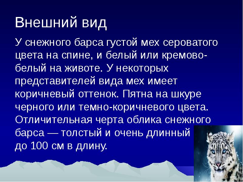 Презентация к сообщению