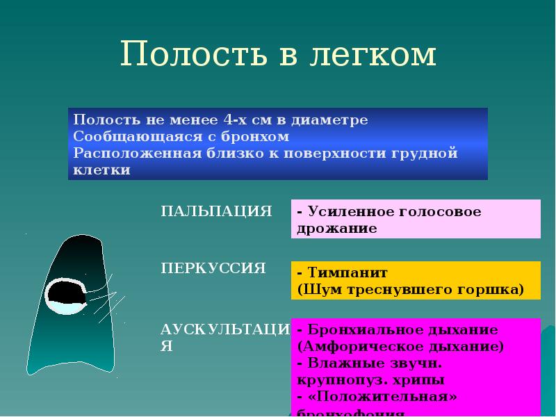 Полость в легком Полость в легком