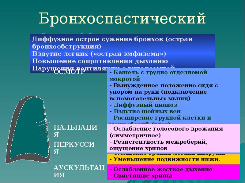 Бронхоспастический синдром Бронхоспастический синдром