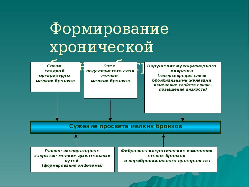 Формирование хронической бронхообструкции Формирование хронической бронхообструкции