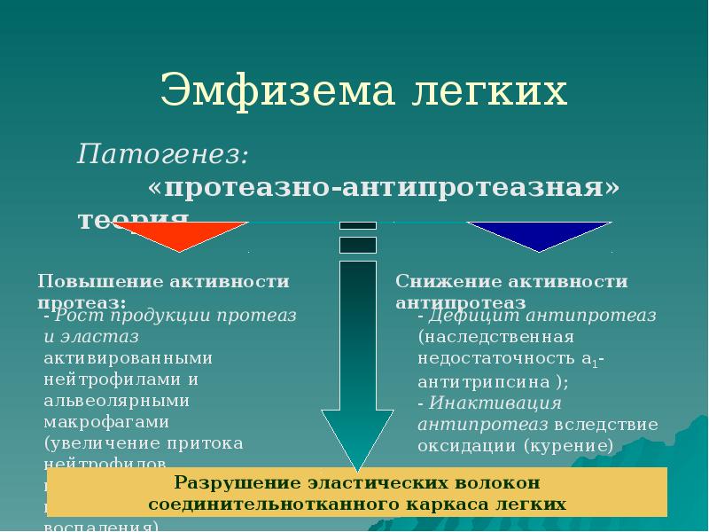 Эмфизема легких Эмфизема легких