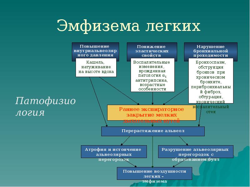 Эмфизема легких Эмфизема легких