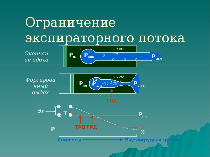 Ограничение экспираторного потока Ограничение экспираторного потока
