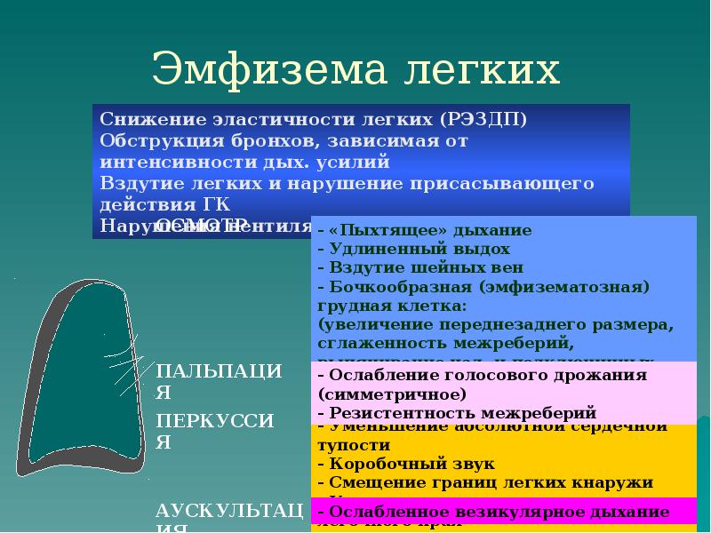 Эмфизема легких Эмфизема легких