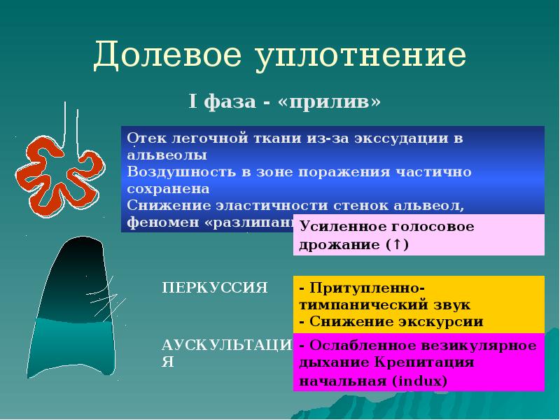 Долевое уплотнение Долевое уплотнение