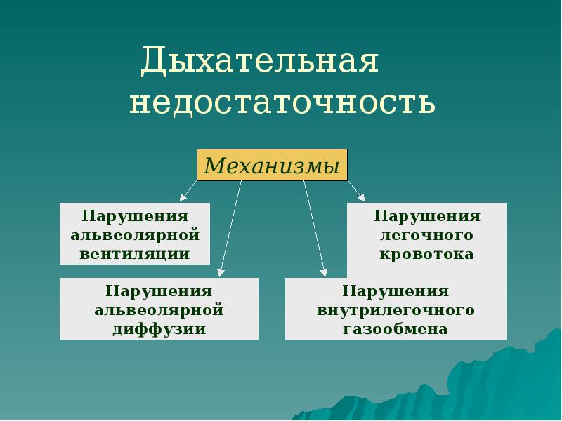Дыхательная недостаточность Дыхательная недостаточность