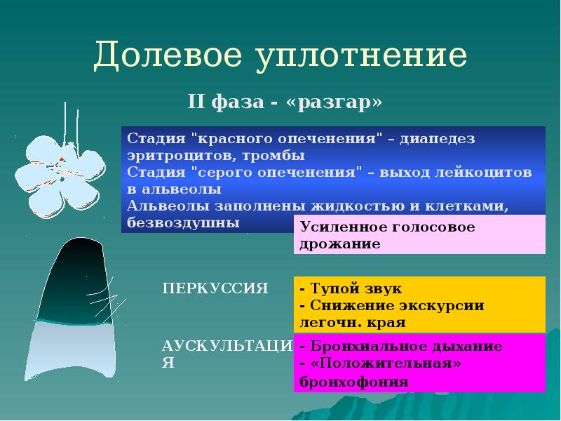 Долевое уплотнение Долевое уплотнение