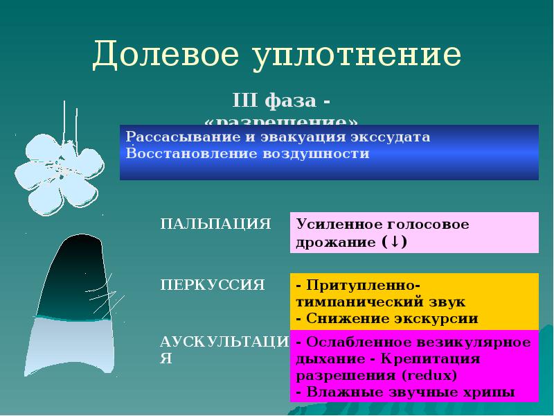 Долевое уплотнение Долевое уплотнение