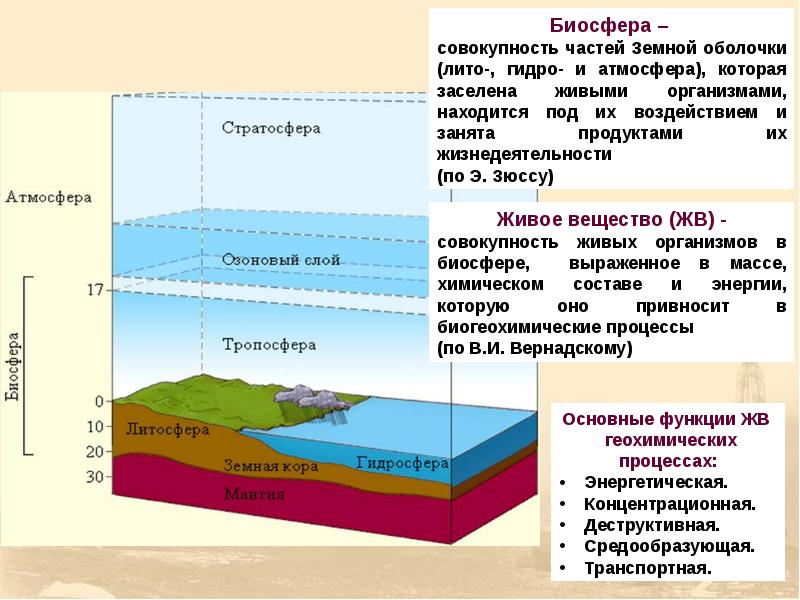 Геологическая эволюция презентация