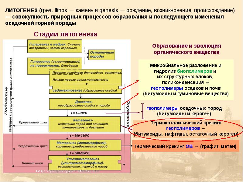 Геологическая эволюция презентация