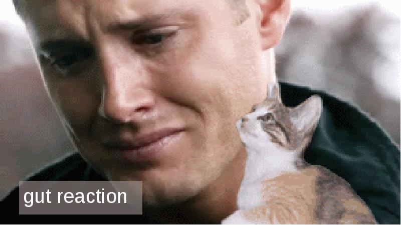 gut reaction
gut reaction
gut reaction
gut reaction