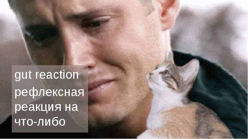 gut reaction
gut reaction
рефлексная реакция на что-либо
gut reaction
gut reaction
рефлексная реакция на что-либо