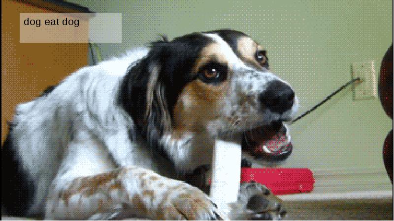 dog eat dog dog eat dog