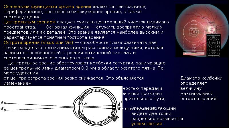 Изображение предметов в сетчатке глаза является