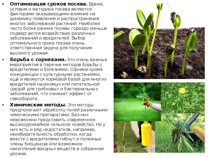Распространяясь на многое. Распространяясь на многое