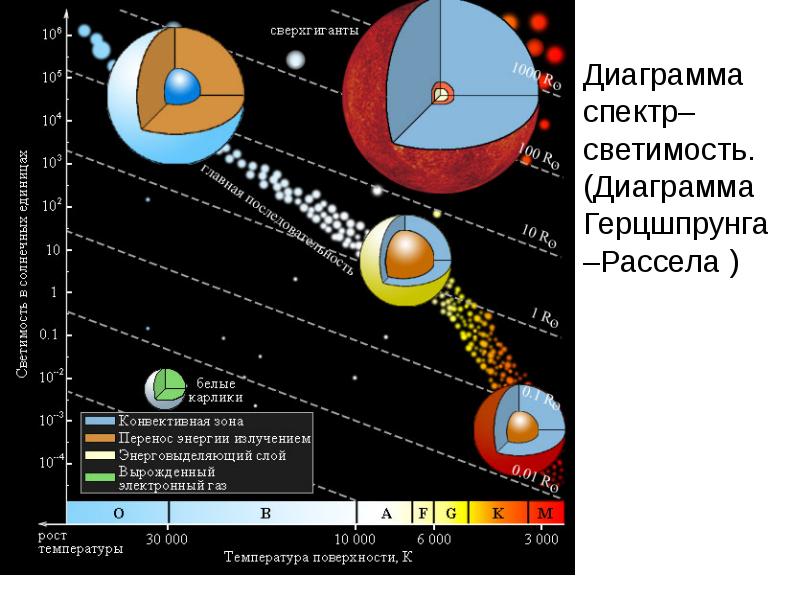 Звезды главной последовательности презентация